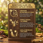 Shampoo Tinte 3 en 1 Herbal - Cobertura de Canas Instantánea (500ml)